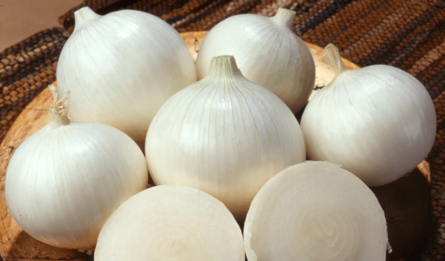 White onion: how it differs from ordinary onion, when to plant, useful properties, composition