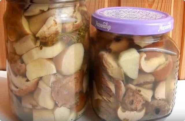 White pickled mushrooms: recipes for the winter with photos