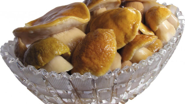 White pickled mushrooms: recipes for the winter with photos