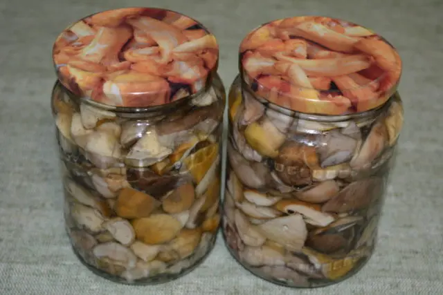 White pickled mushrooms: recipes for the winter with photos