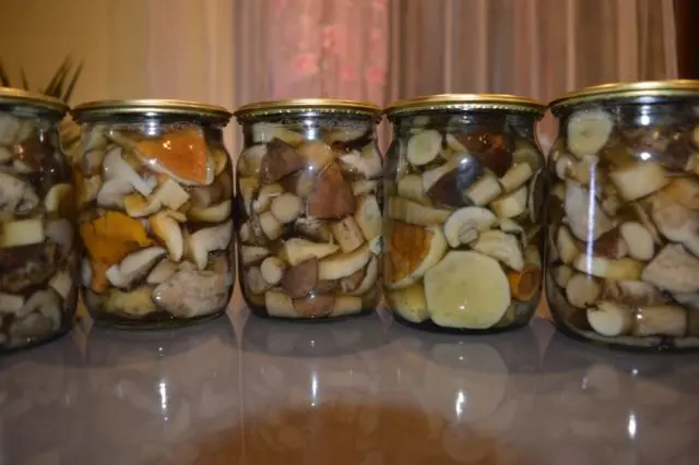 White pickled mushrooms: recipes for the winter with photos