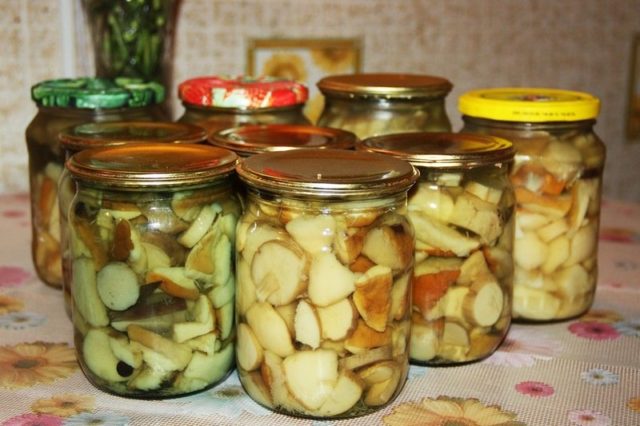 White pickled mushrooms: recipes for the winter with photos