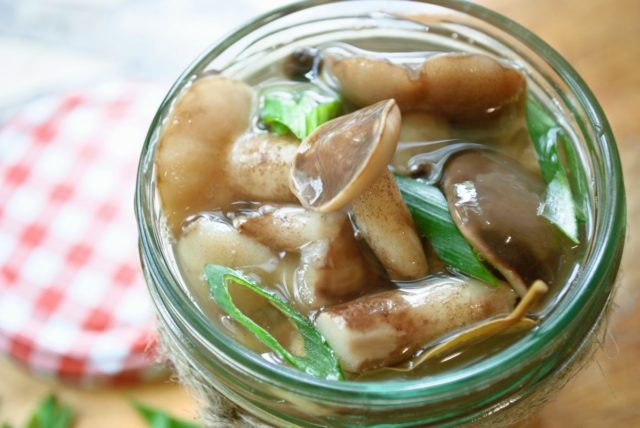 White pickled mushrooms: recipes for the winter with photos