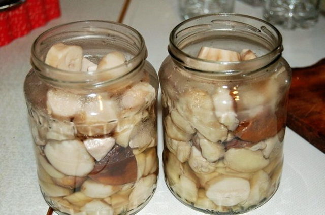 White pickled mushrooms: recipes for the winter with photos