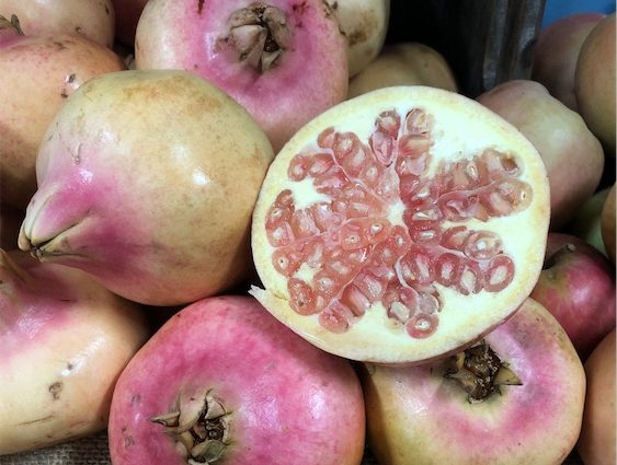 White pomegranate &#8211; why is the fruit of this color?