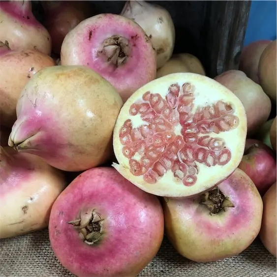 White pomegranate &#8211; why is the fruit of this color?