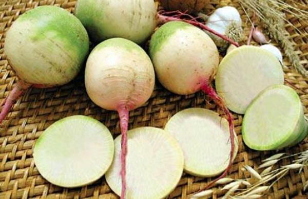 White radish - an indispensable vegetable on your table