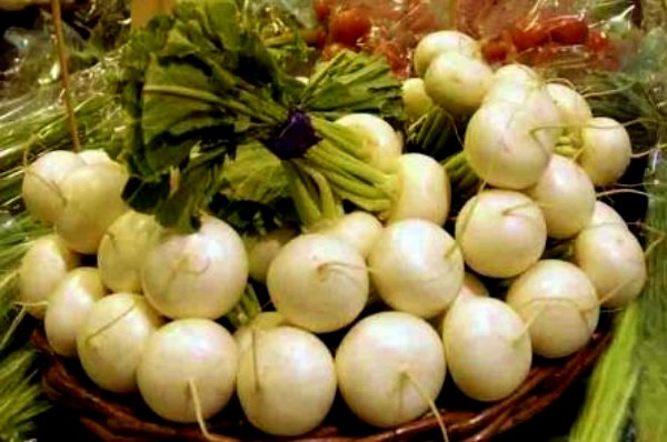 White radish - an indispensable vegetable on your table