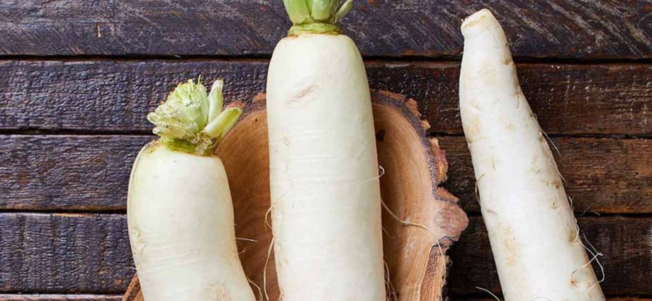 White radish &#8211; an indispensable vegetable on your table