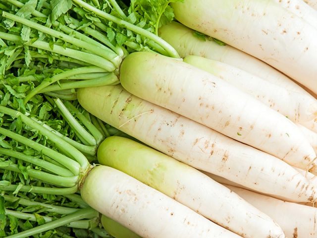 White radish: benefits and harms