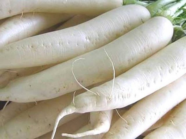 White radish: benefits and harms