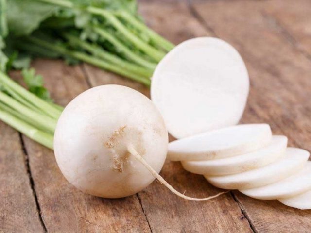 White radish: benefits and harms