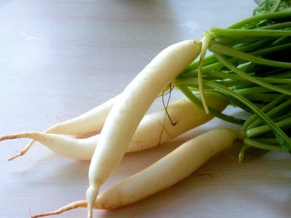 White radish: features of the variety and cultivation