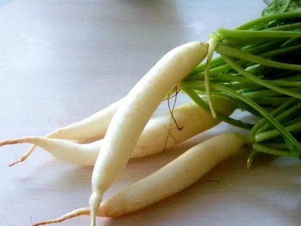 White radish: features of the variety and cultivation