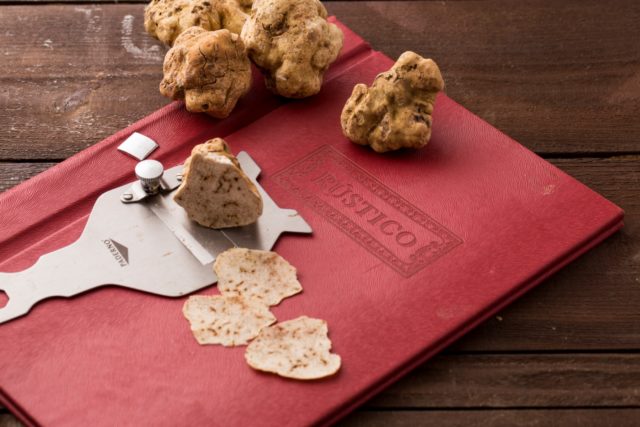 White truffle in Our Country: where it grows, how to cook, photo and video