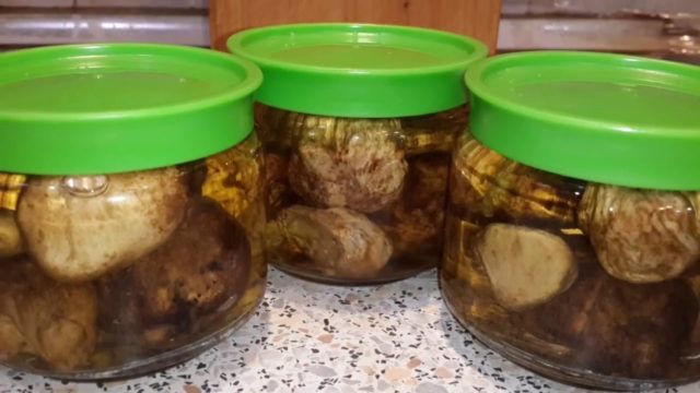 White truffle in Our Country: where it grows, how to cook, photo and video