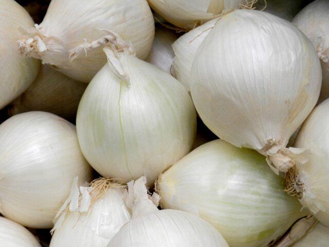 White varieties of onion sets