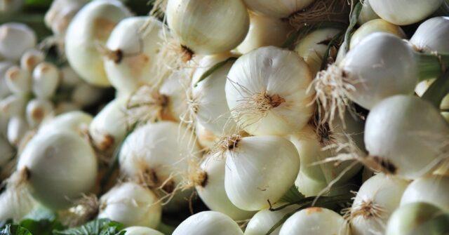 White varieties of onion sets