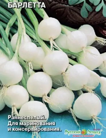 White varieties of onion sets