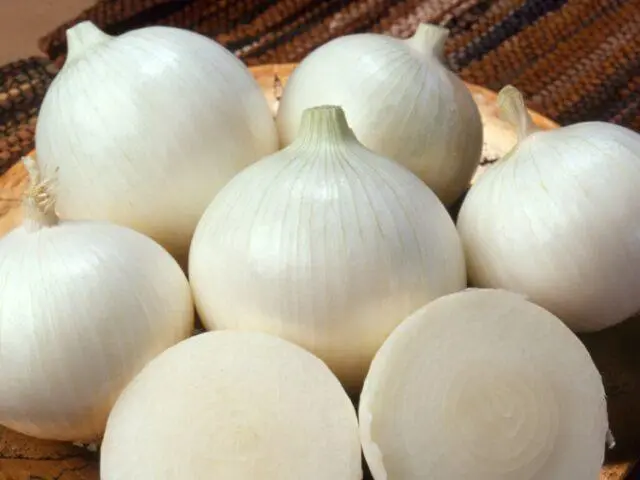 White varieties of onion sets