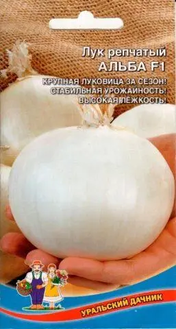 White varieties of onion sets