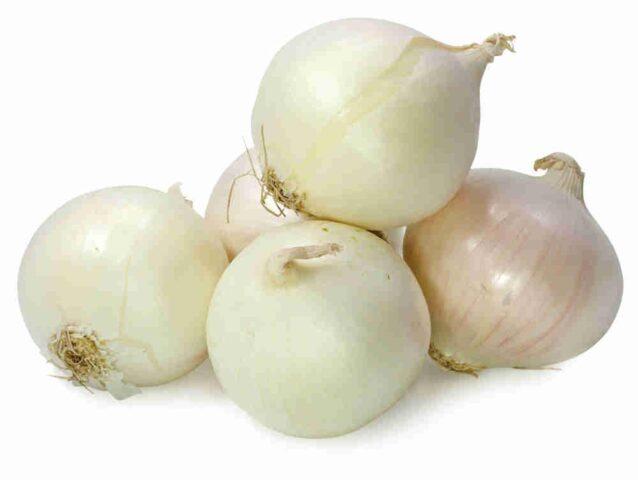 White varieties of onion sets