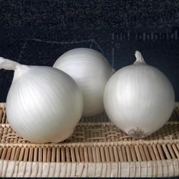 White varieties of onion sets