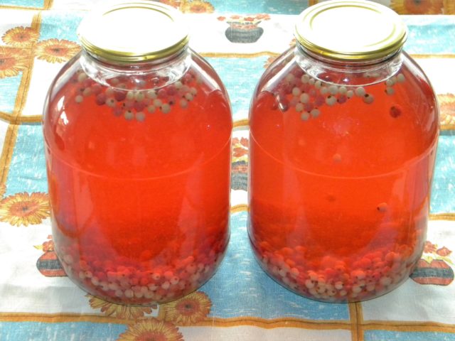 Whitecurrant compote: recipes for the winter and for every day