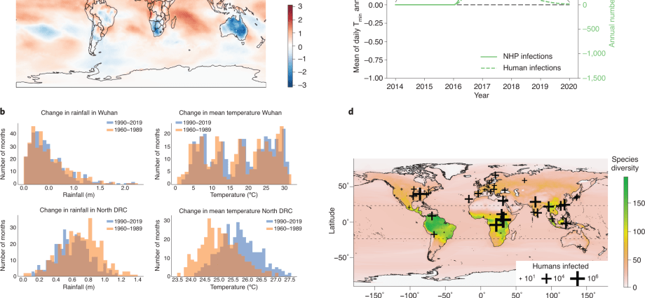 WHO alert. Climate change could be more catastrophic than COVID-19