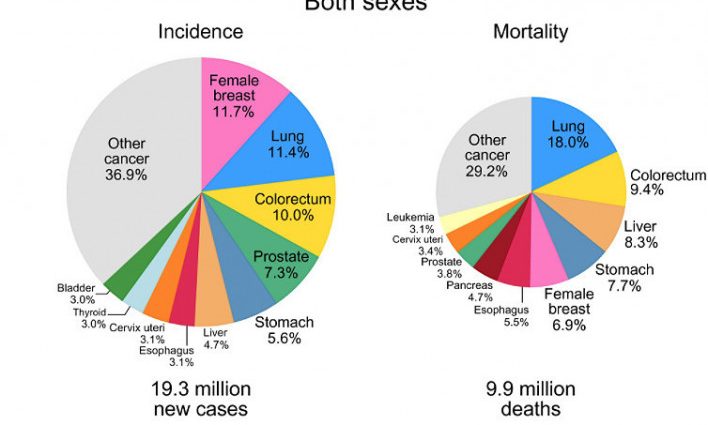 WHO: Breast cancer is the most commonly diagnosed cancer in the world. Not lung cancer anymore