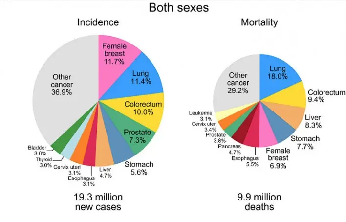 WHO: Breast cancer is the most commonly diagnosed cancer in the world. Not lung cancer anymore