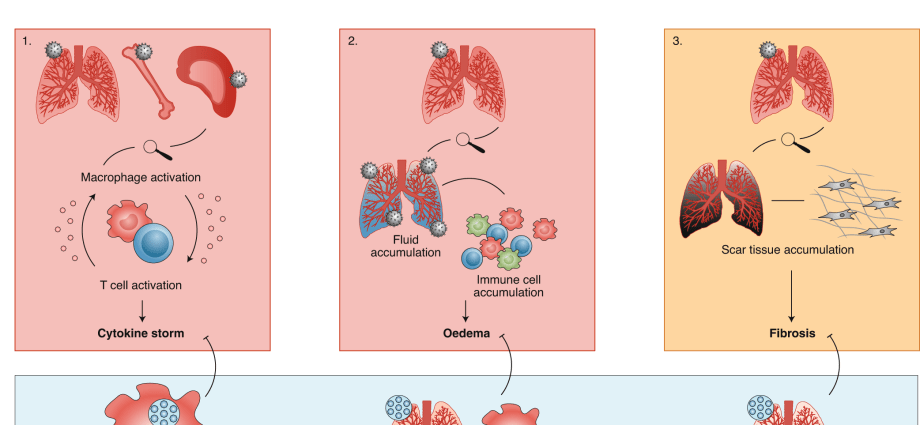 WHO calls for increased production of dexamethasone. The drug can help fight COVID-19