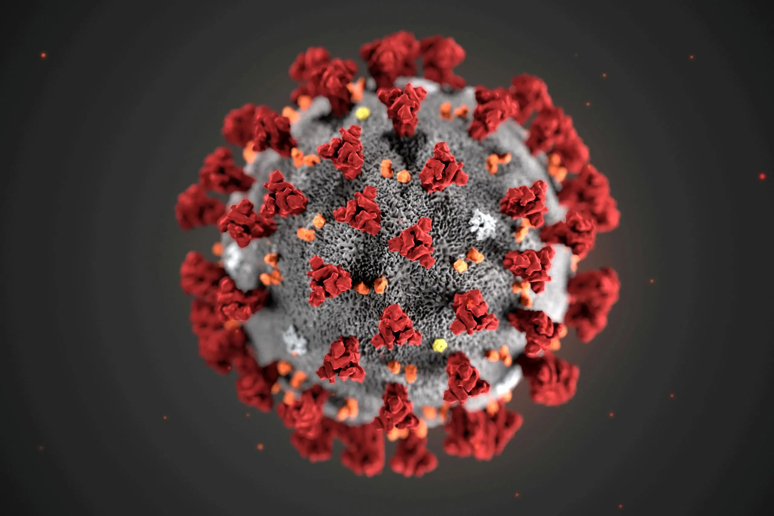 WHO has classified a new variant of the coronavirus. They gave it a name. What does it mean?