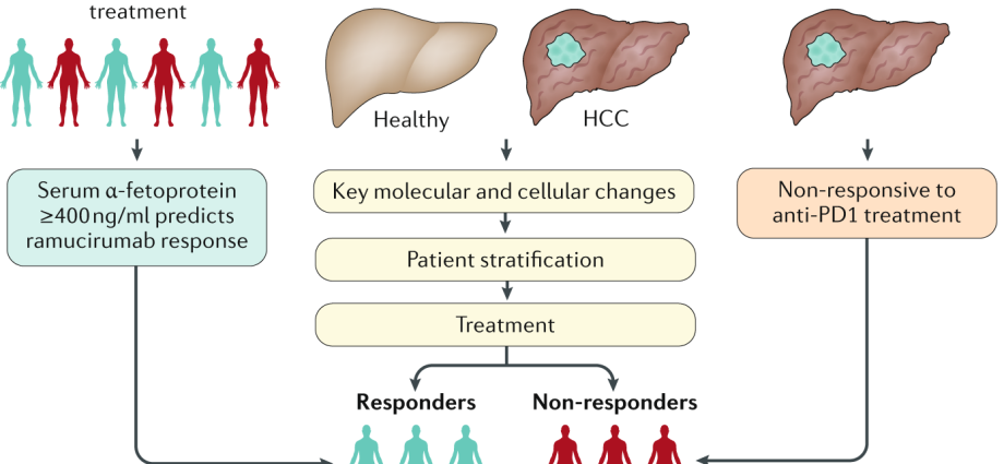 Who is liver cancer treatment for?