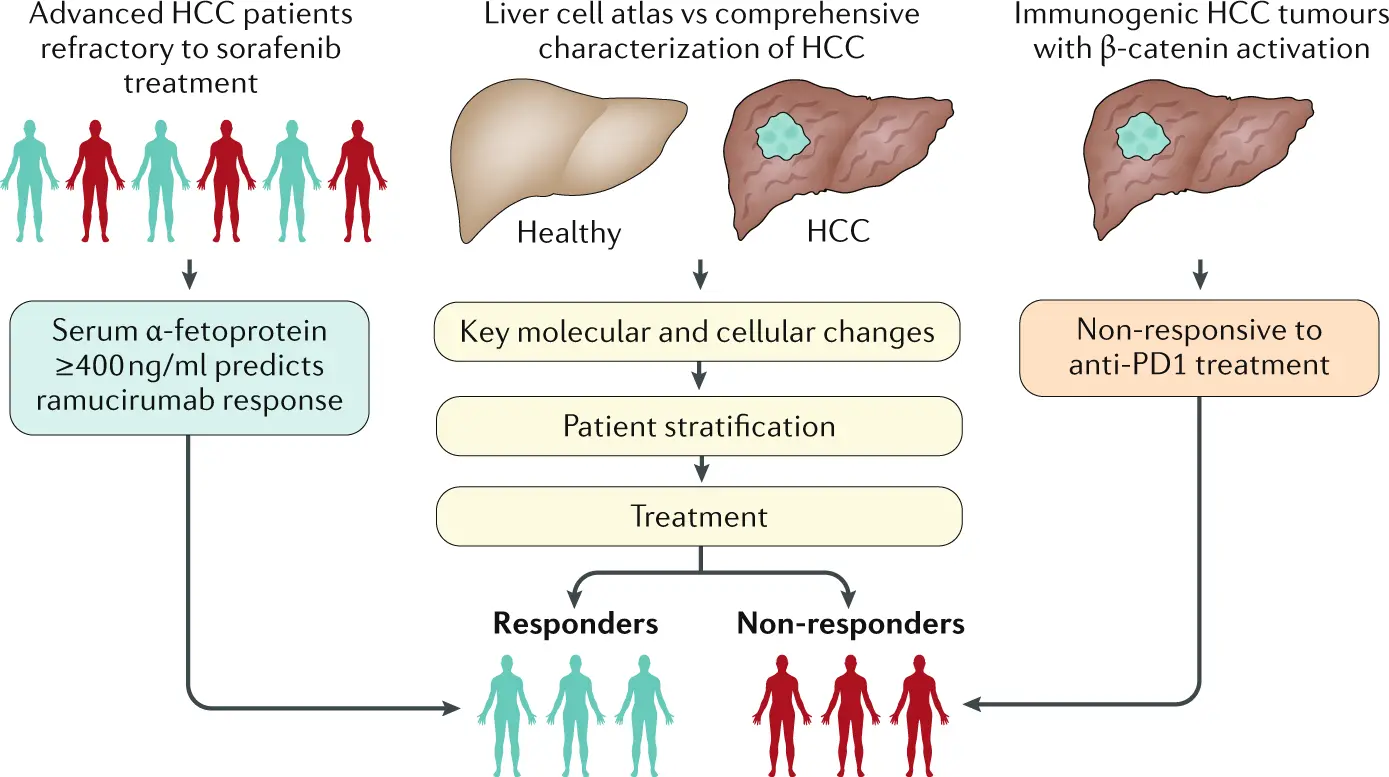 Who is liver cancer treatment for?