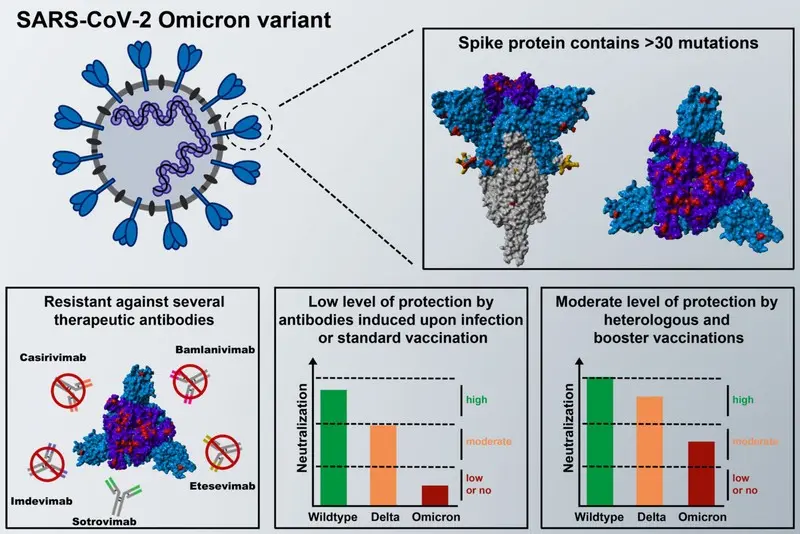 Who is the most resistant to the Omikron variant?