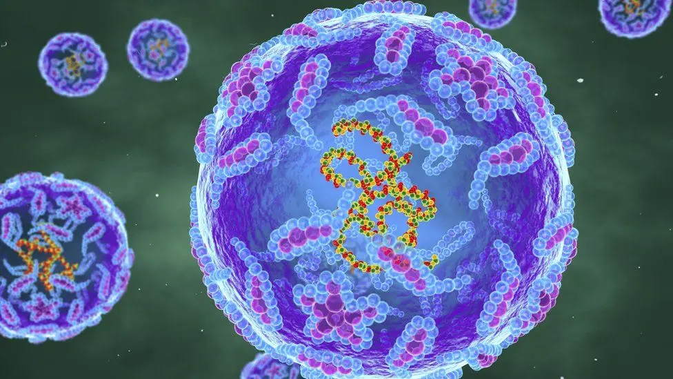 WHO warns against the spread of the polio virus