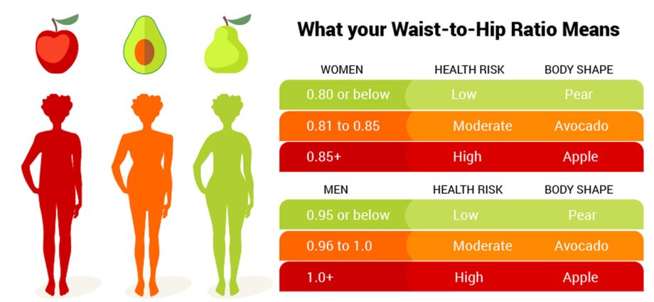 WHR indicator &#8211; what is it? What influences the WHR index?