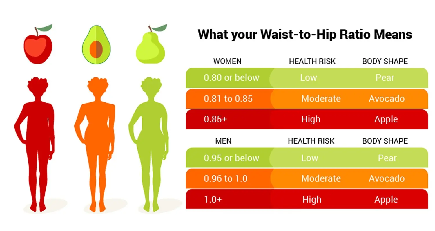 WHR indicator &#8211; what is it? What influences the WHR index?