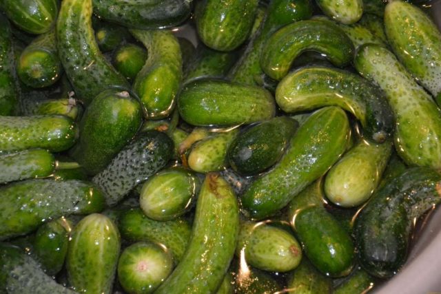 Why and for how many hours do you need to soak cucumbers before pickling