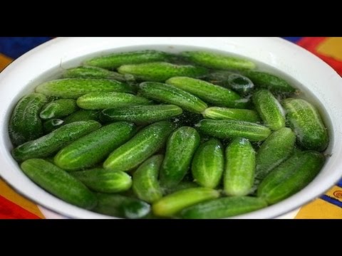 Why and for how many hours do you need to soak cucumbers before pickling