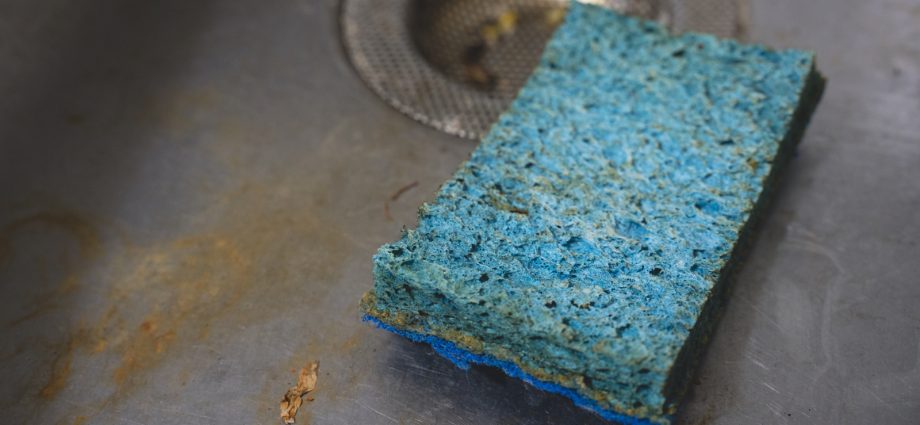 Why are bacteria so fond of kitchen sponges? A surprising discovery by scientists