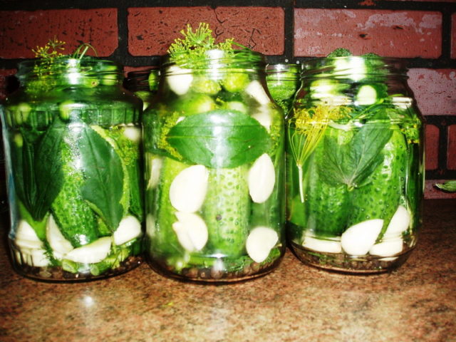 Why cans of cucumbers explode: what to do, how to pickle