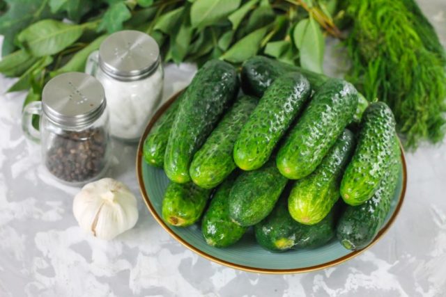 Why cans of cucumbers explode: what to do, how to pickle