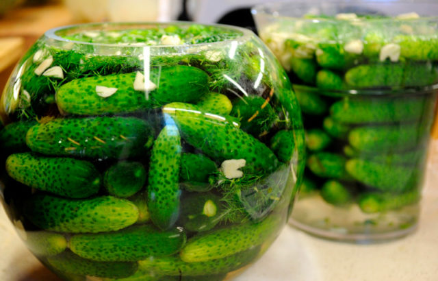 Why cans of cucumbers explode: what to do, how to pickle