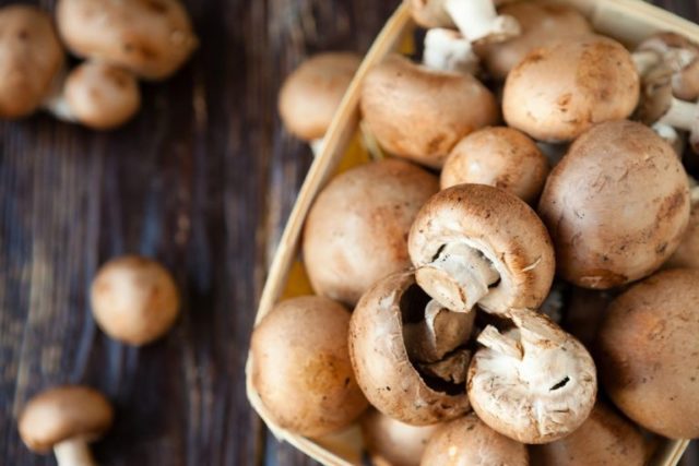 Why champignons are useful for the body: fresh, fried, canned, contraindications