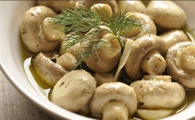 Why champignons are useful for the body: fresh, fried, canned, contraindications