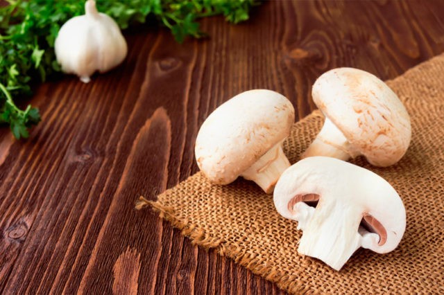 Why champignons are useful for the body: fresh, fried, canned, contraindications