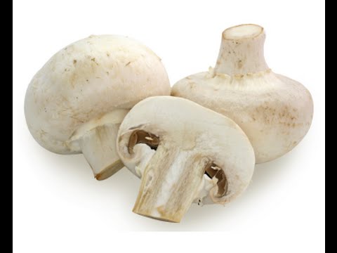 Why champignons are useful for the body: fresh, fried, canned, contraindications