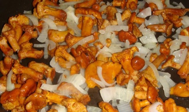 Why chanterelles are bitter and how to remove bitterness from mushrooms